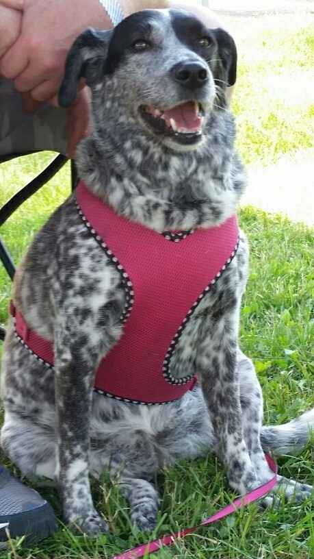 Spinoff: Show us your rescues!
