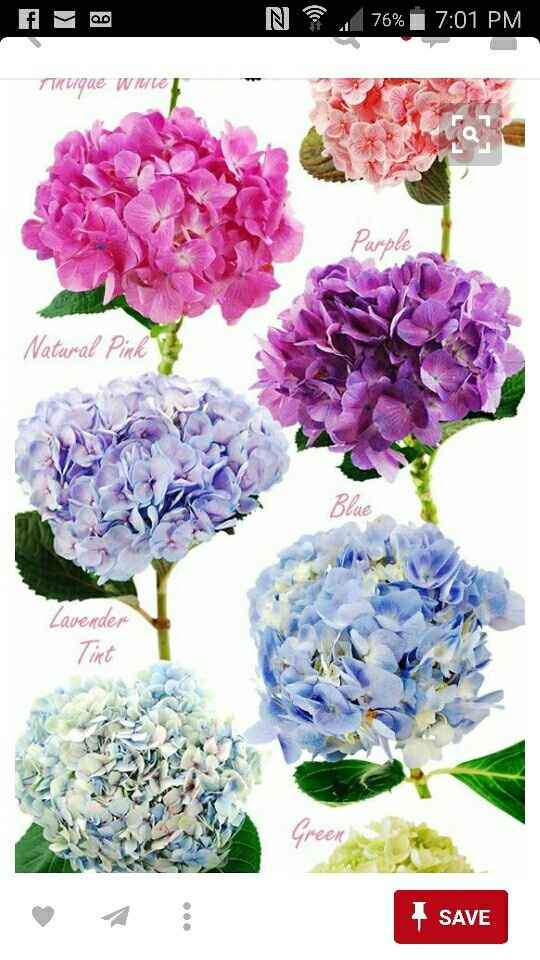 FW changing her mind about wedding color??