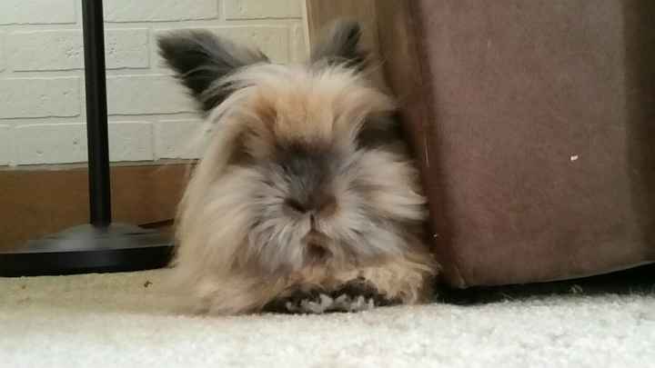 NWR sad news :'(