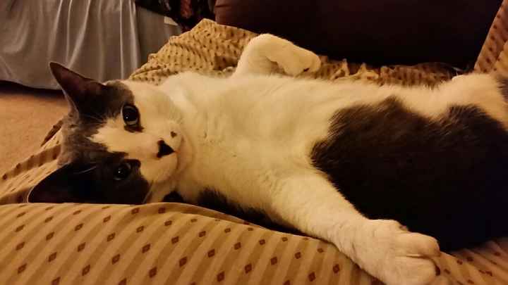 New Addition to our Family
