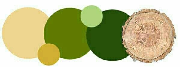 What are everyone's wedding colors??