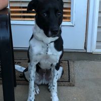 a "ruff" Decision - 1