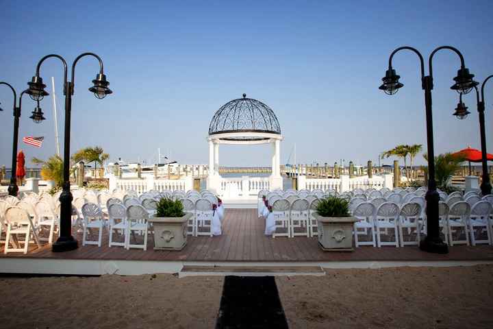 Flower Petal Pandemonium