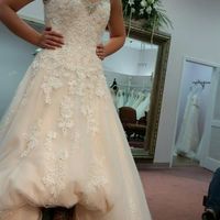 Veil or no veil? Reasons why I question...