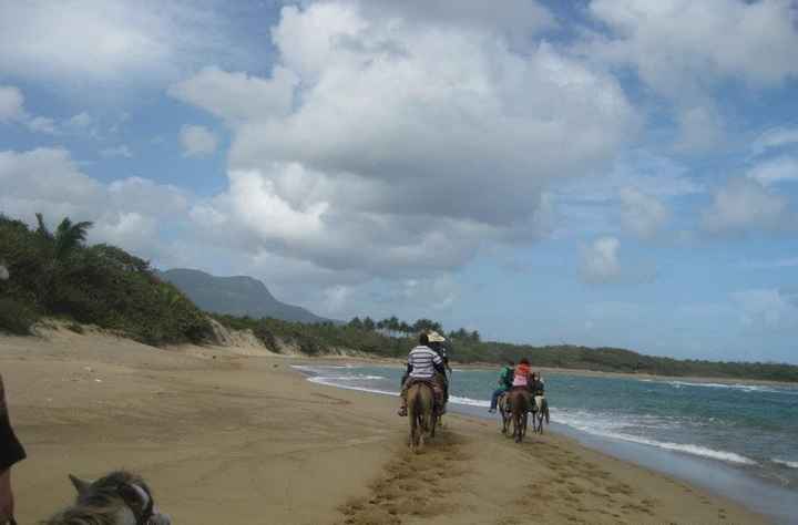 Excursions- Punta Cana