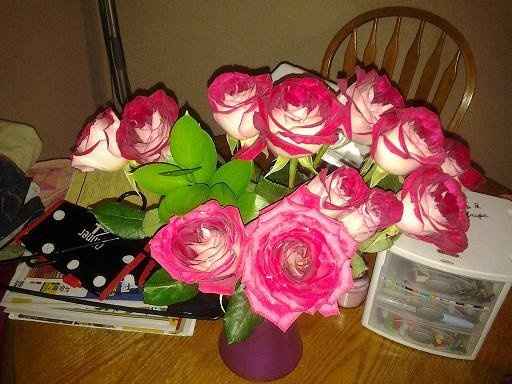 NWR love surprises