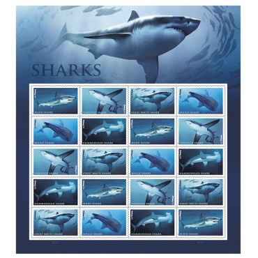 shark stamps