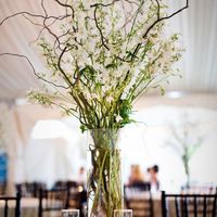 Floral Centerpieces & bouquets