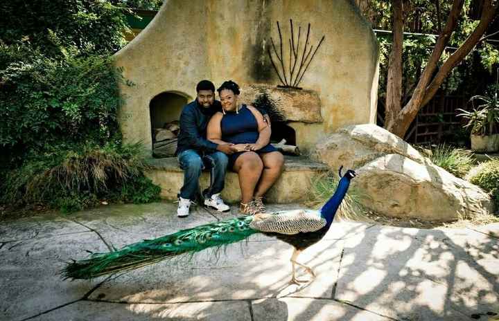 My Beautiful E-Photos are in!!