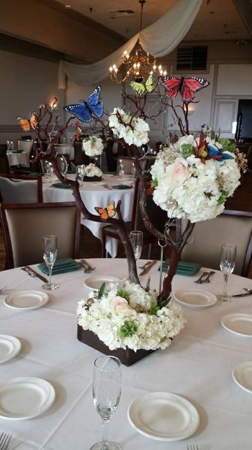 Centerpieces-Manzanita Trees