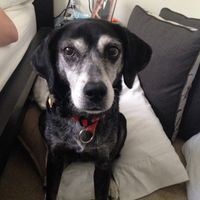 Spinoff: Show us your rescues!