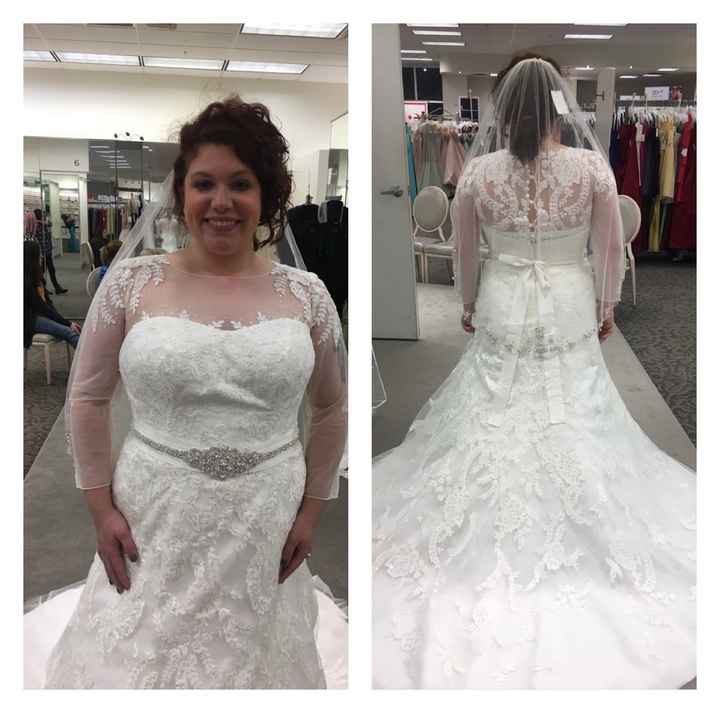 Davids Bridal Dresses!