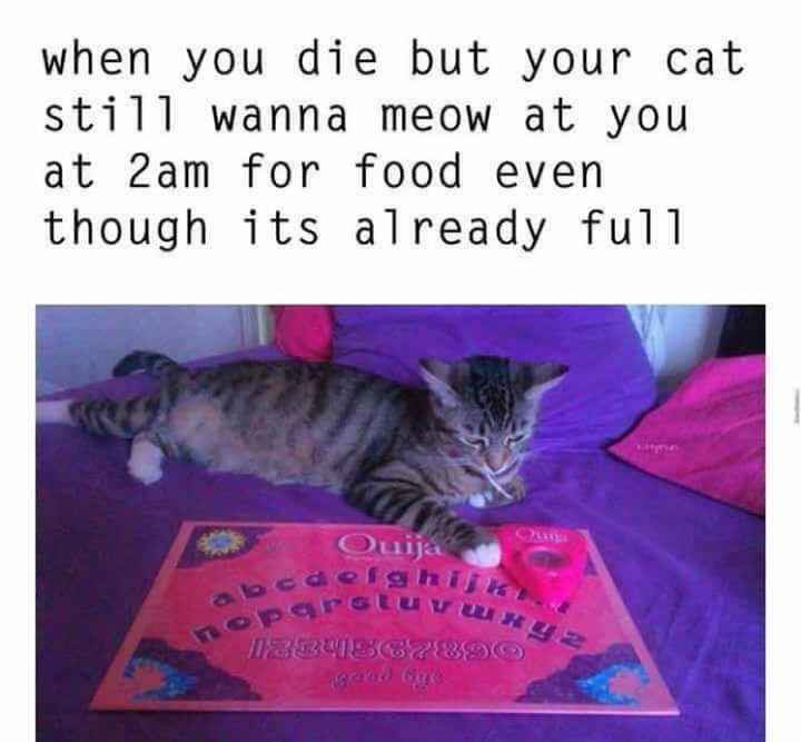 NWR- Make me laugh- please!