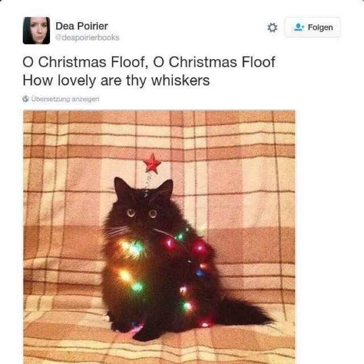 NWR- Make me laugh- please!