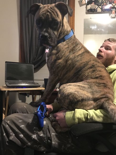 NWR: Show me your pups!