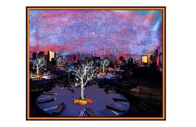 Wedding Theme