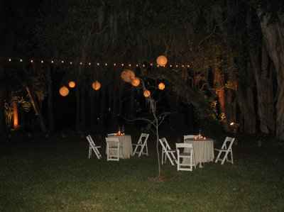Decor for outdoor ceremony....(Tree decorations)