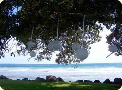 Decor for outdoor ceremony....(Tree decorations)