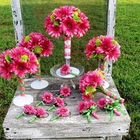 I need input on colors