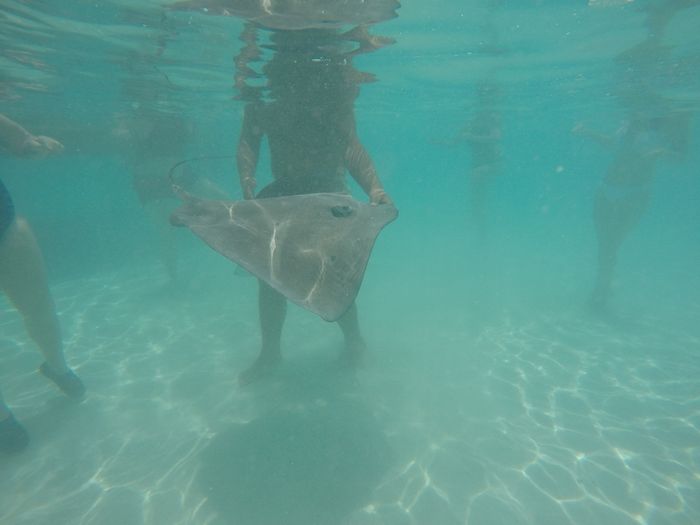 BAH!!!  Moorea is amazing!!!