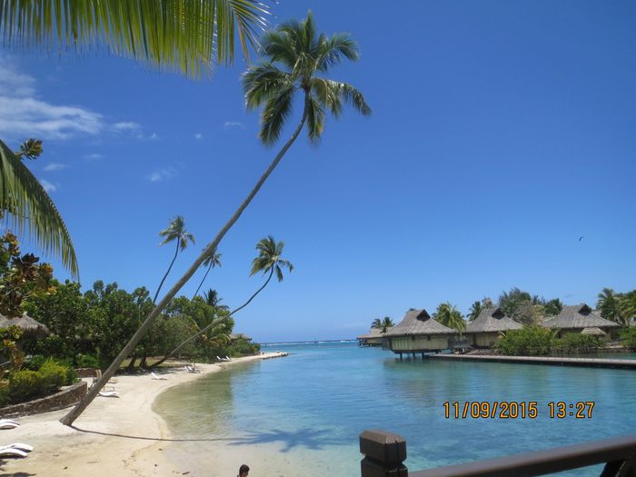 BAH!!!  Moorea is amazing!!!