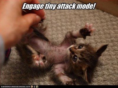 NWR: It's FRIDAY  Pic Heavy... at least I hope it is...