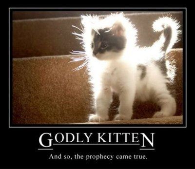 NWR: It's FRIDAY  Pic Heavy... at least I hope it is...