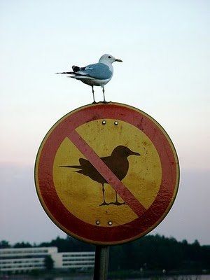 NWR: It's FRIDAY  Pic Heavy... at least I hope it is...
