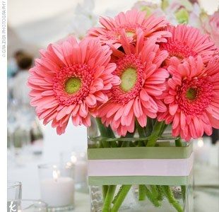 Does anyone have any nice gerbera daisy centrepiece pictures?