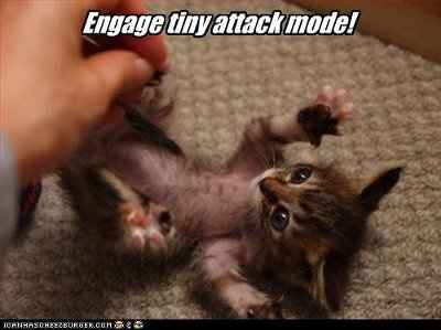 NWR: It's FRIDAY  Pic Heavy... at least I hope it is...