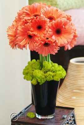 Does anyone have any nice gerbera daisy centrepiece pictures?