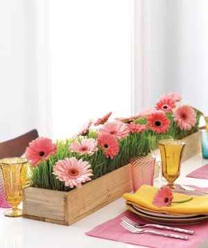 Does anyone have any nice gerbera daisy centrepiece pictures?