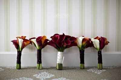What color goes with burgundy?
