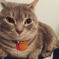 NWR: Losing my mind over...