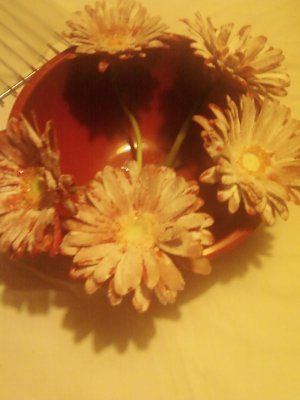 My DIY crystalized flowers so far...(PICS!)