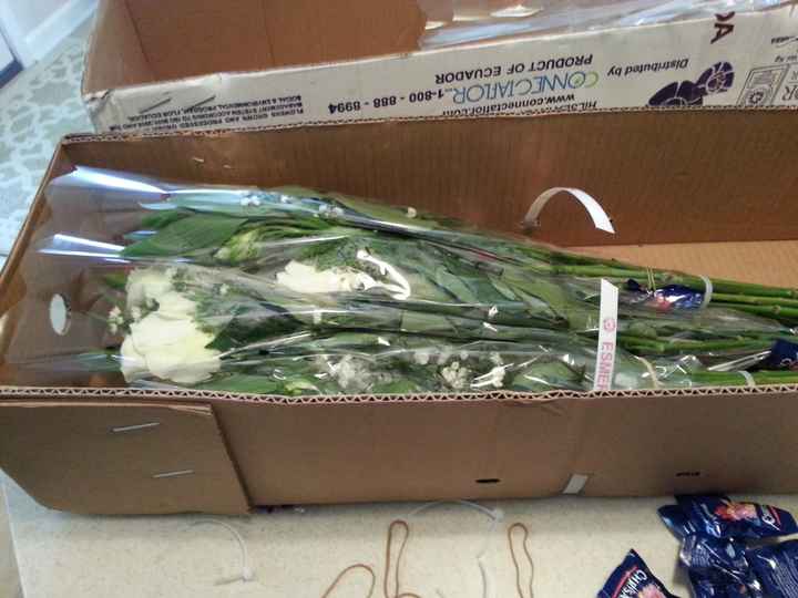 Review of our Costco Mountain Bouquet (Growers Choice) Budget friendly 10 bouquets for $99