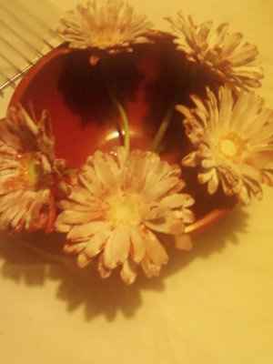 My DIY crystalized flowers so far...(PICS!)