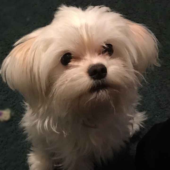 NWR: Show me your pups!