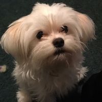 NWR: Show me your pups!