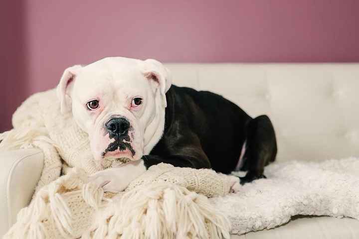 NWR Show me your furbabies