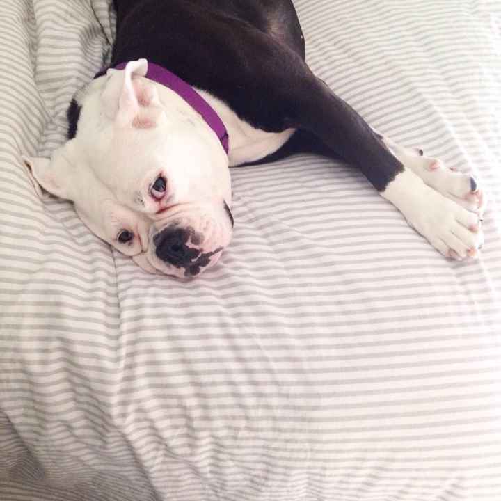 NWR Show me your furbabies