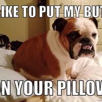 NWR: Need to see some funny memes! Stressed at work.