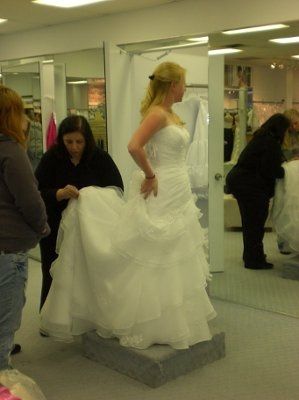 Final Dress Fitting *Pics!*