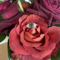2024 Brides - Show us your ring! - 1