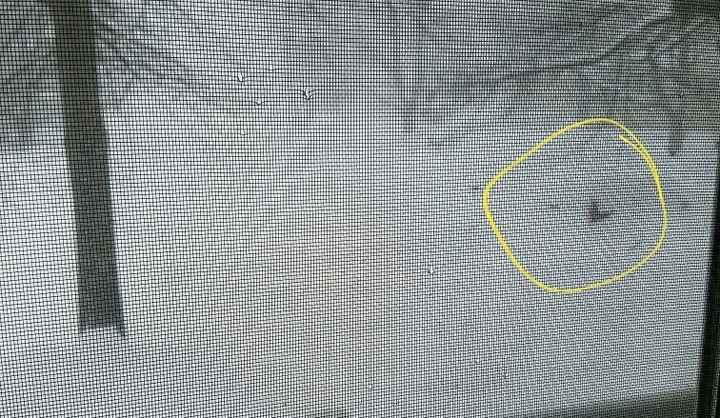 Nwr: stay safe northeast friends!