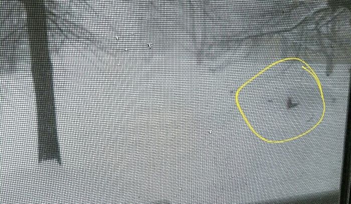 Nwr: stay safe northeast friends!
