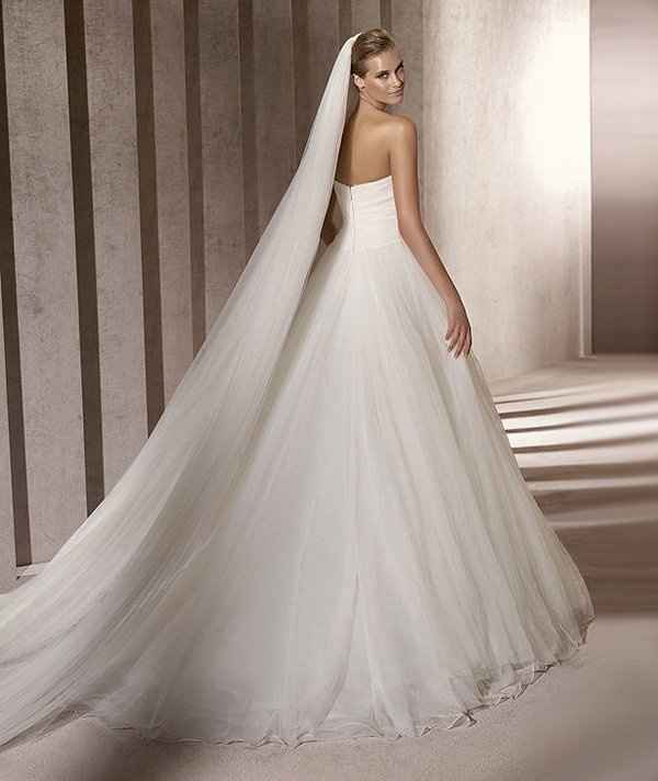 My dress with this veil? What do you think?