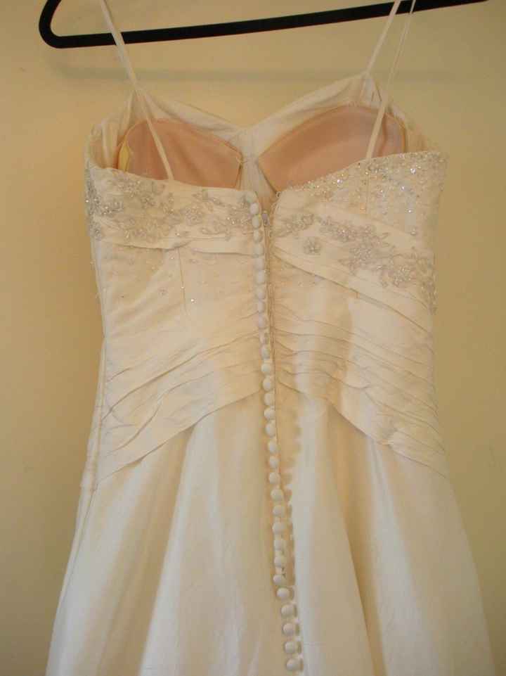 My dress with this veil? What do you think?