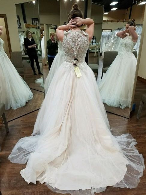 MY DRESS IS HERE!