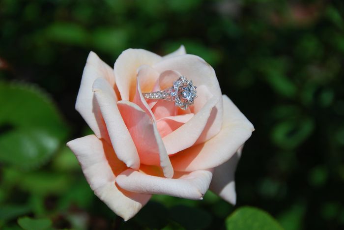 My Ring!